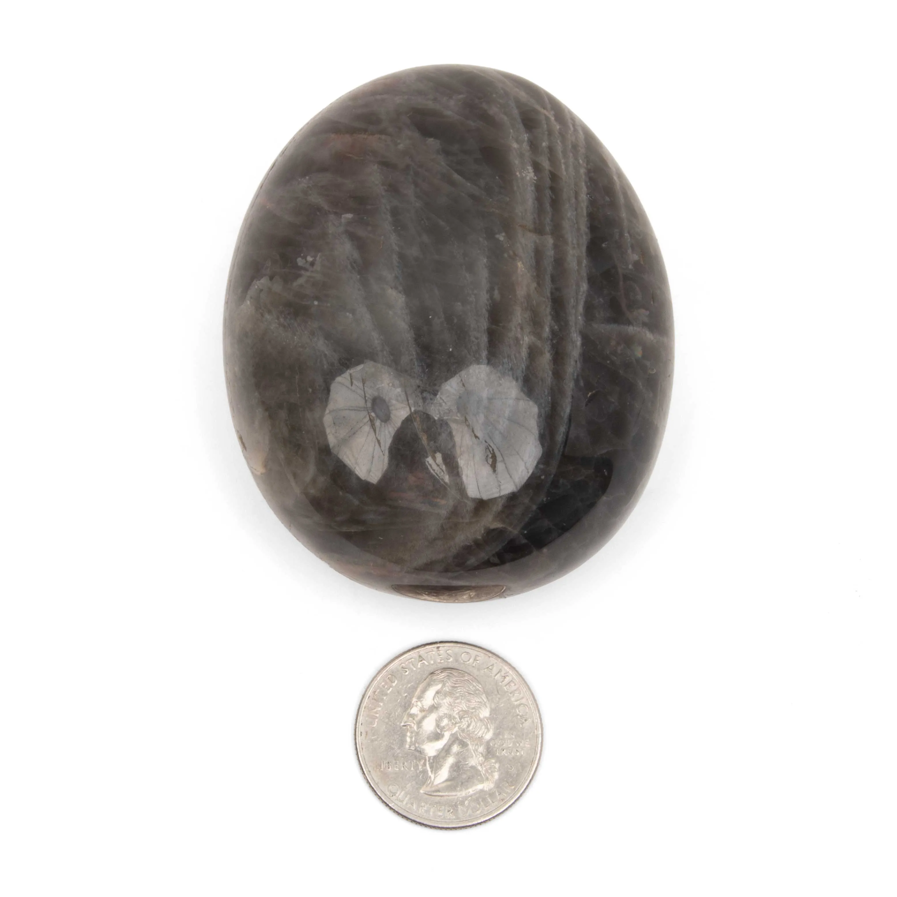 Moonstone - Black, Palm, Polished